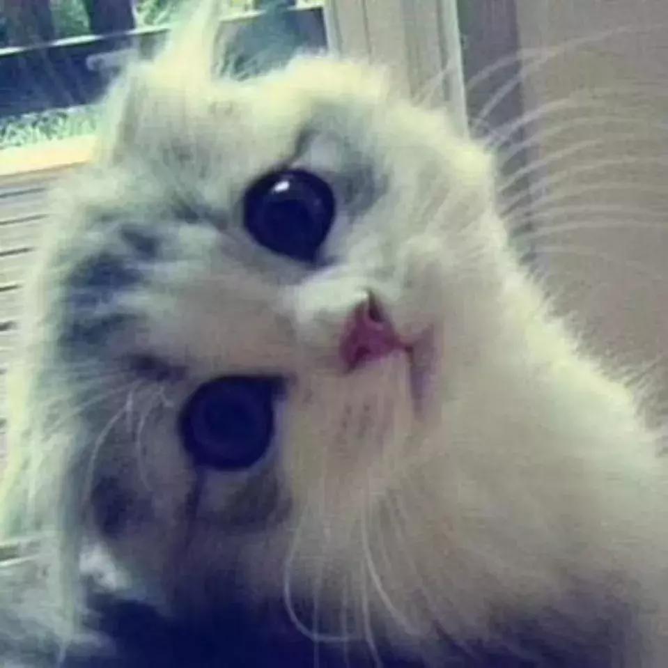 好诗推荐加赏析150字,沧浪诗社最好的诗