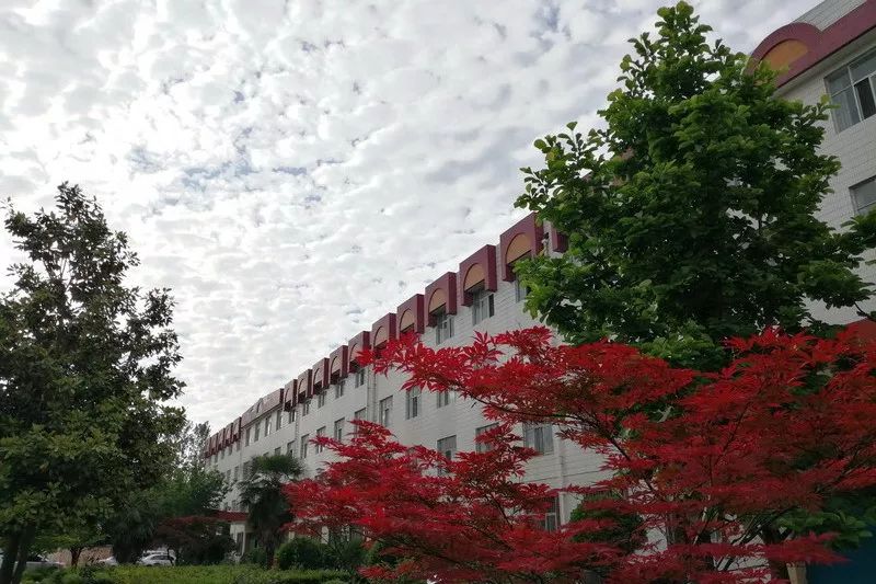 陕西宝鸡有哪些中学,宝鸡最好的高中是石油中学吗