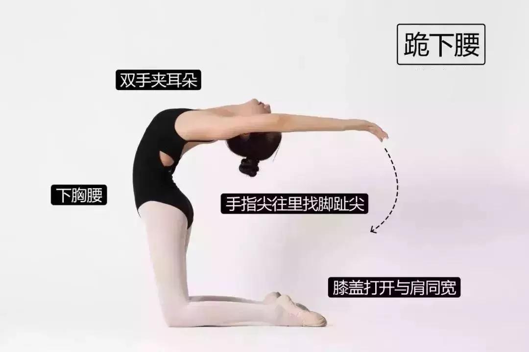 腰太硬怎么练柔软用弹力带,腰太硬怎么练柔软图解