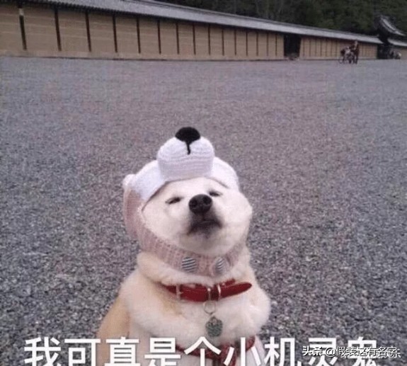 有哪些高档次的群名沙雕,那些超酷的沙雕群名字