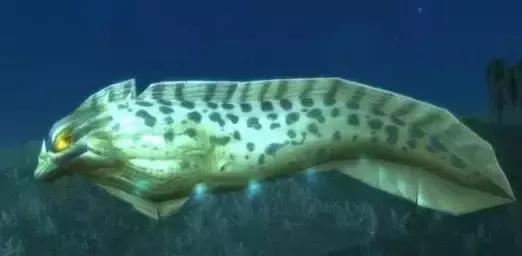 电鳗能放出多少伏电,电鳗能电死水牛吗