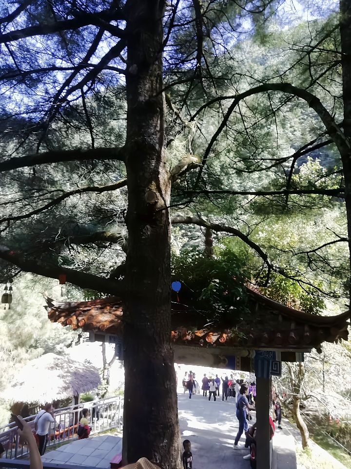 大理魂牵梦绕的地方,大理苍山真的值得去吗