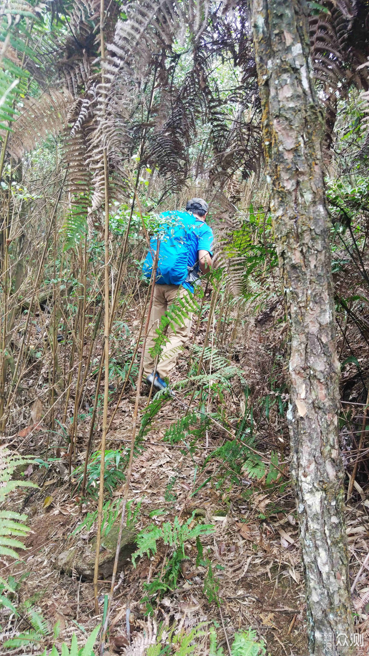 拓乐背包双肩包,拓乐户外背包