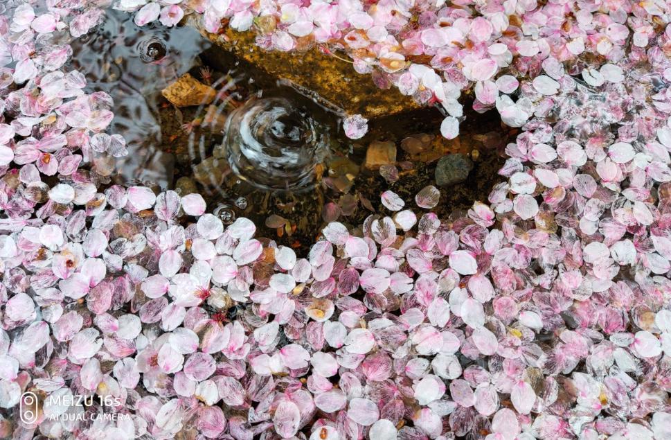 拍照手机xsm,魅族目前拍照最好的手机