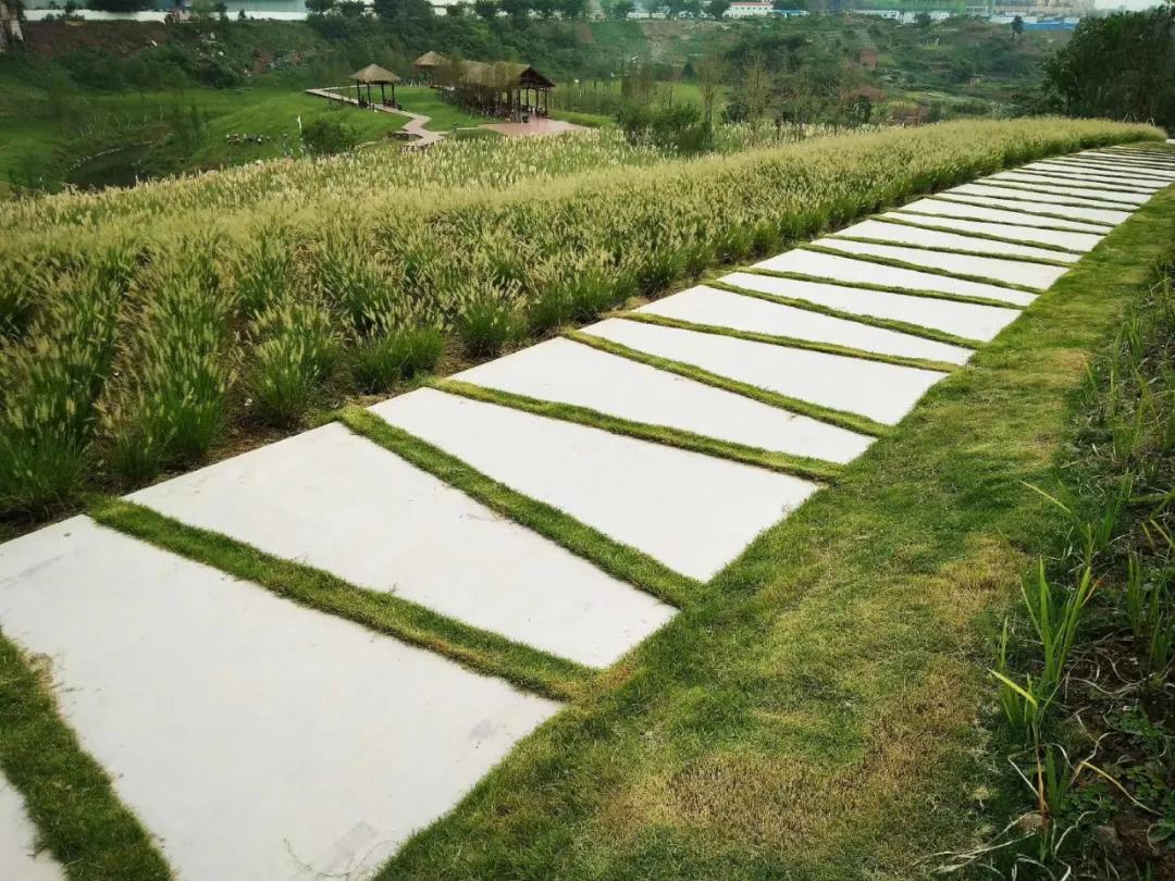 重庆主城网红打卡地景点推荐,重庆新网红地打卡