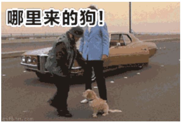 假白富美的朋友圈,朋友圈假白富美