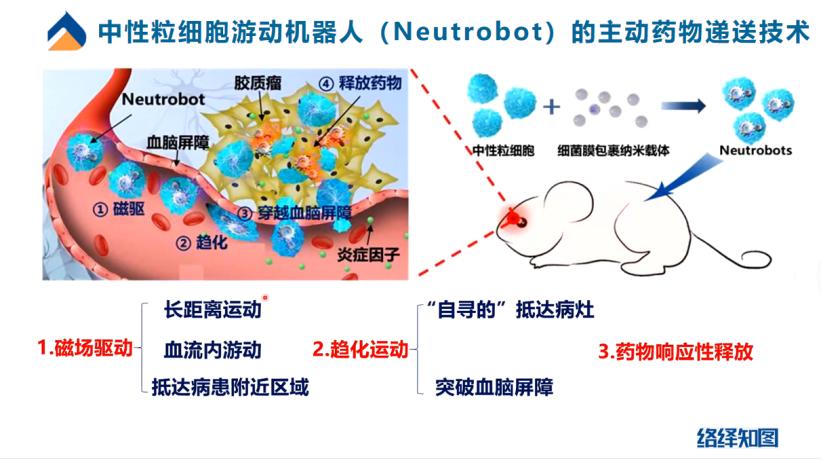 胶质瘤纳米疗法,微纳机器人治疗胶质瘤