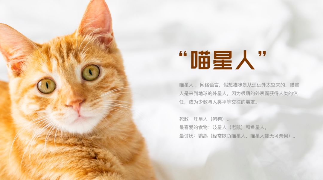 如何用ppt进行裁剪,ppt图片裁剪工具