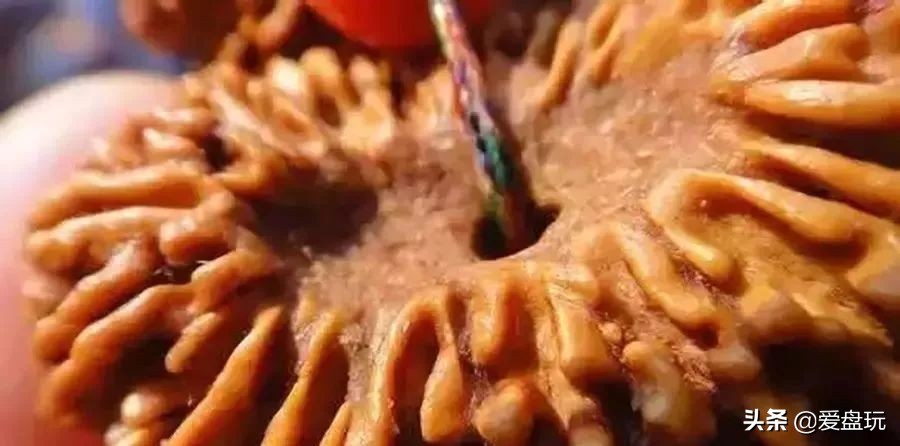 金刚最好的盘玩方法,金刚应该怎么盘