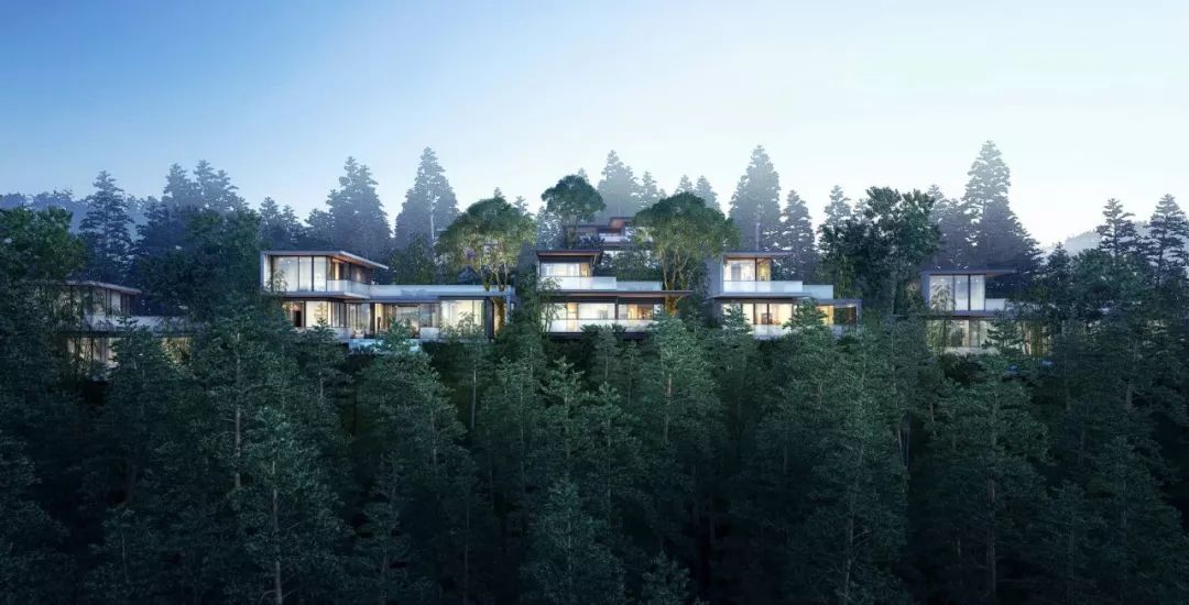 安吉桃花源逸竹,安吉江南桃花源