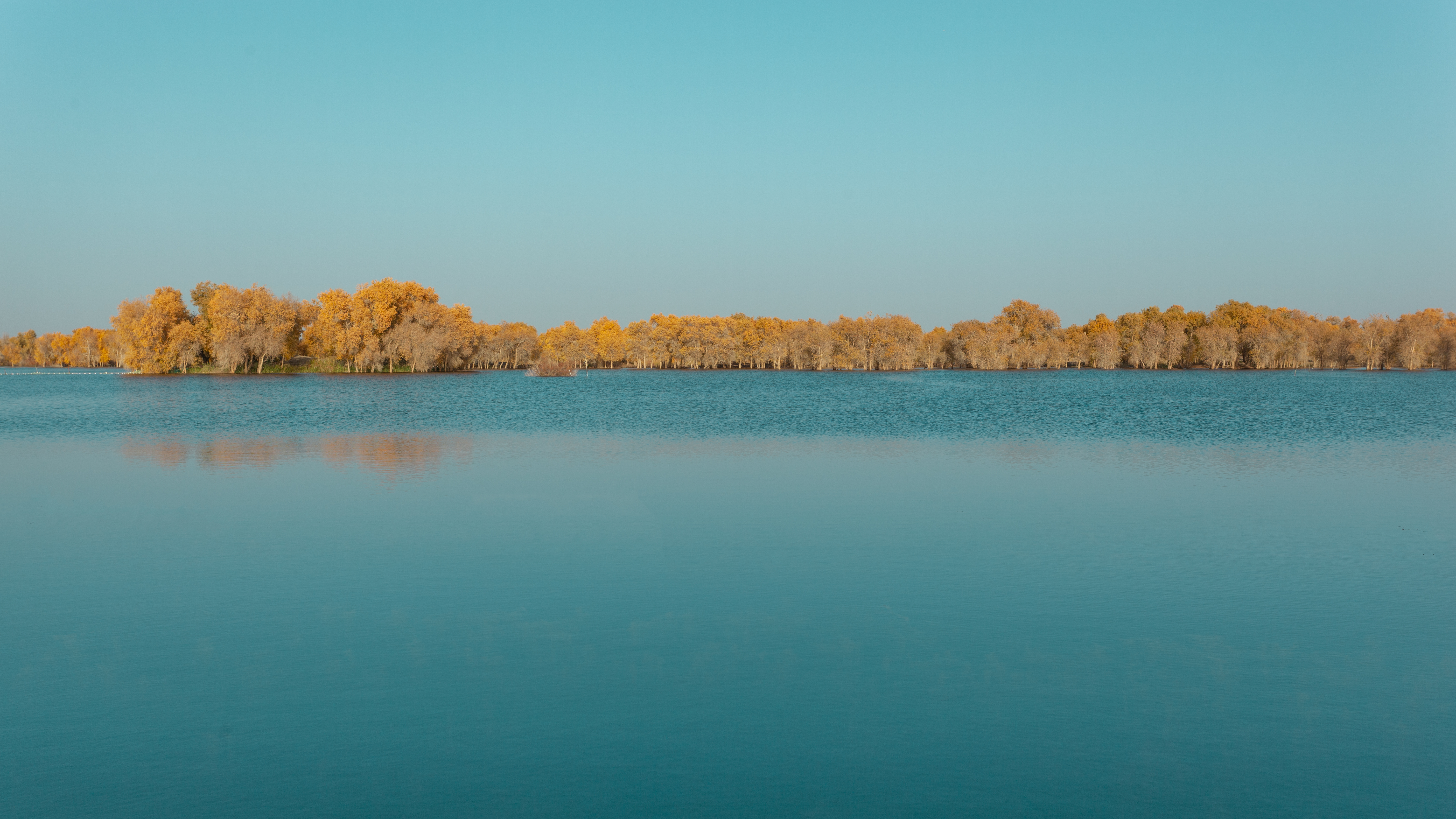 他告诉我，人有多大胆，远方就有多远