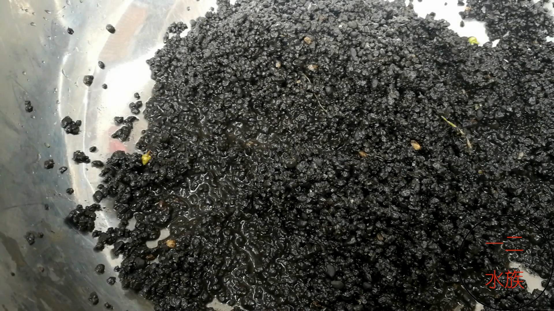 尼特利水草泥一年后能粉化吗,底砂过滤会加速水草泥粉化吗