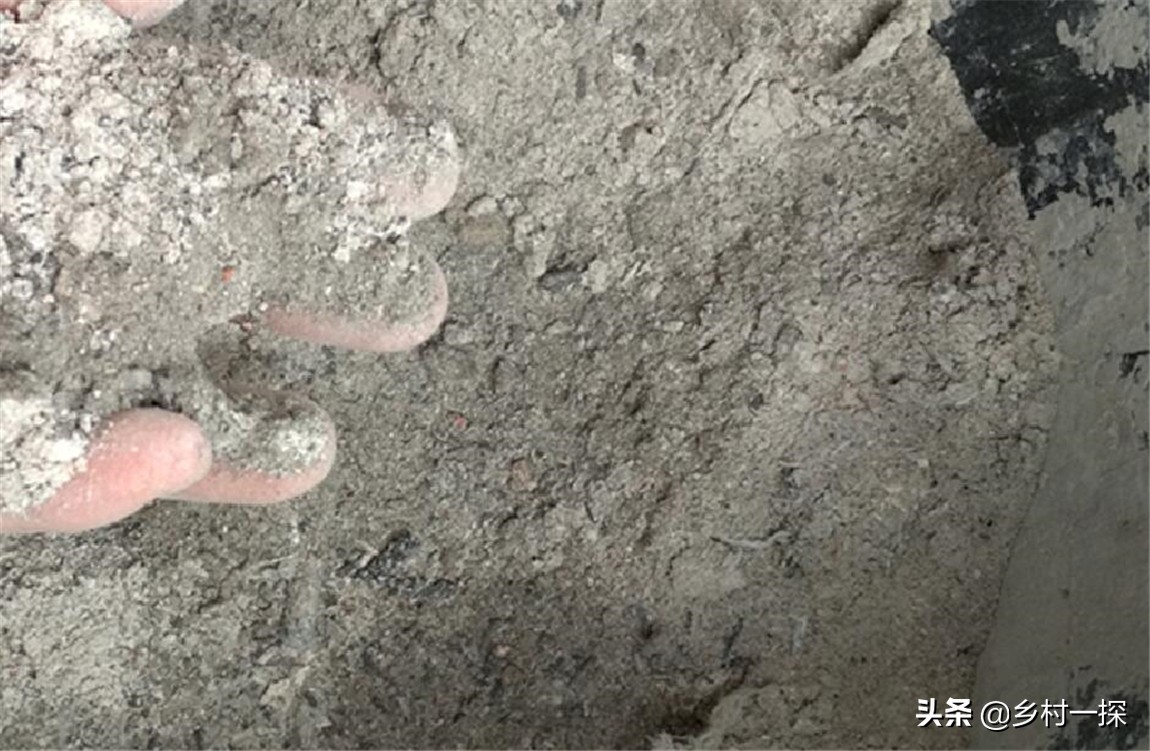 种植生菜很苦怎么补救,种植生菜的注意事项和禁忌