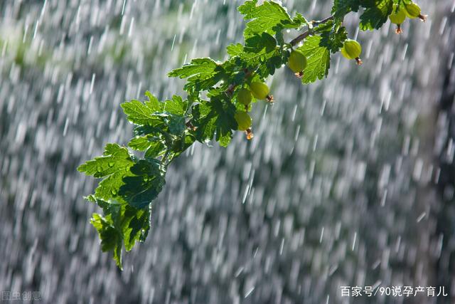 陈江幸福村,惠州市陈江幸福村