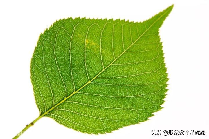 打底袜怎么挑选搭配才能摆脱俗气,打底袜咋样穿