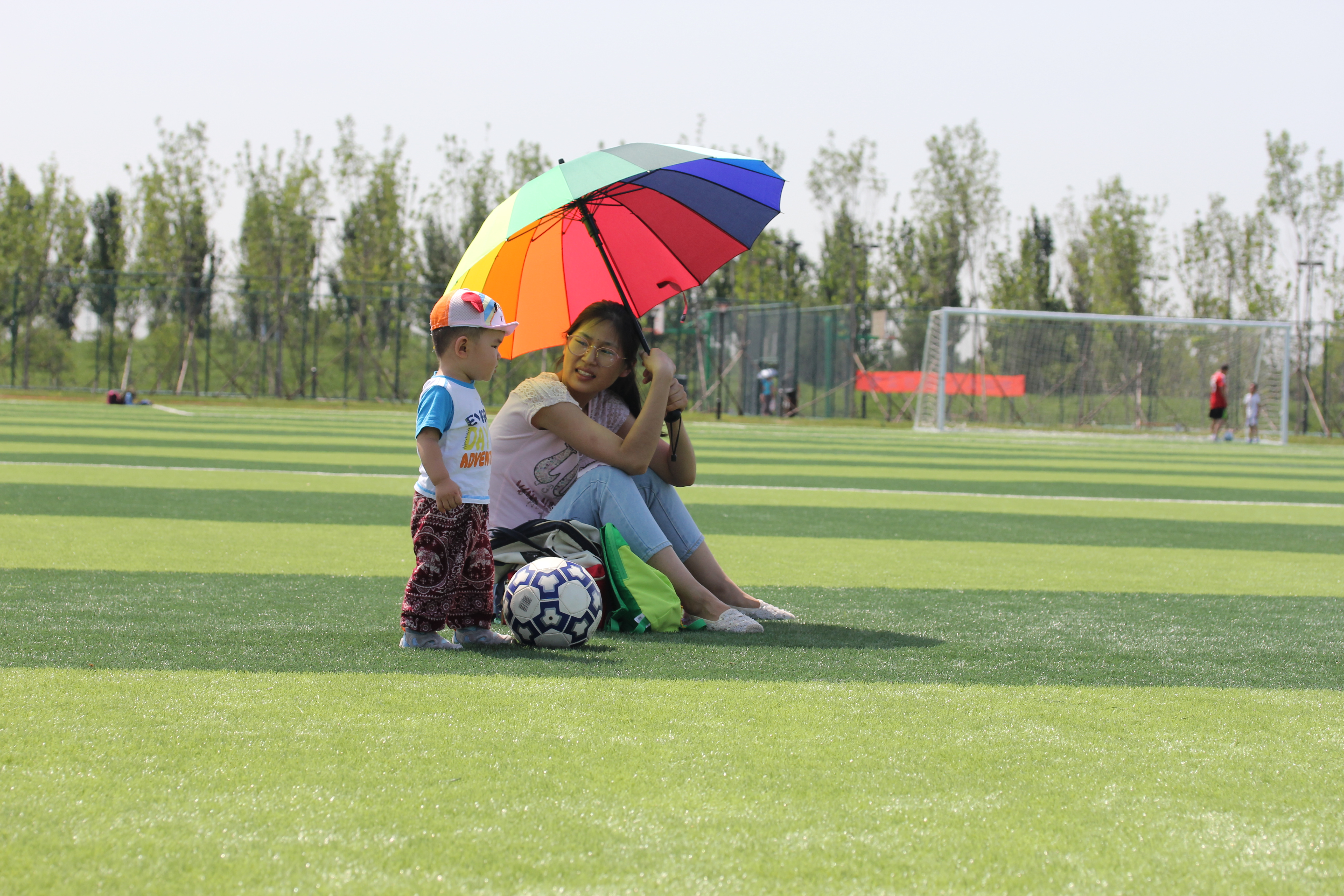 北京有哪些公园有足球场,北京超大绝美花海在哪儿