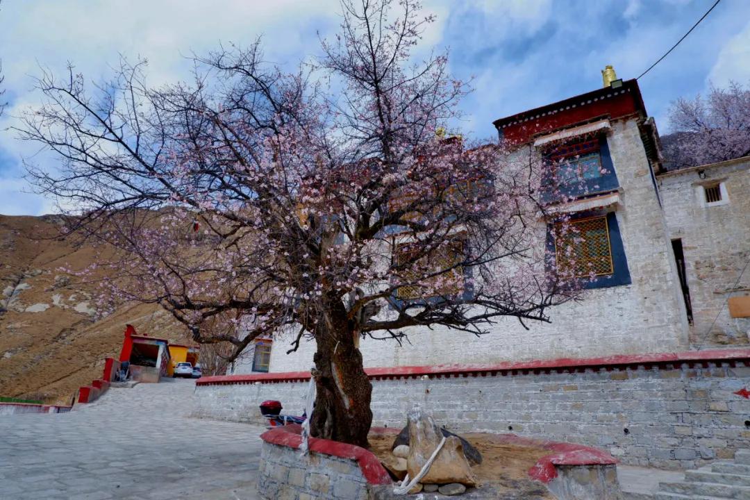 拍拉萨全景哪里最好,拉萨最适合拍照的地方