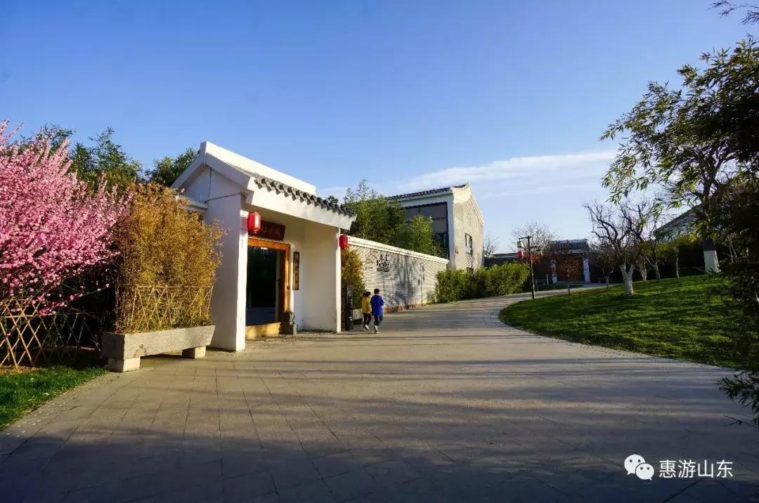 春到泉城之泉城公园,大美宁阳复圣公园