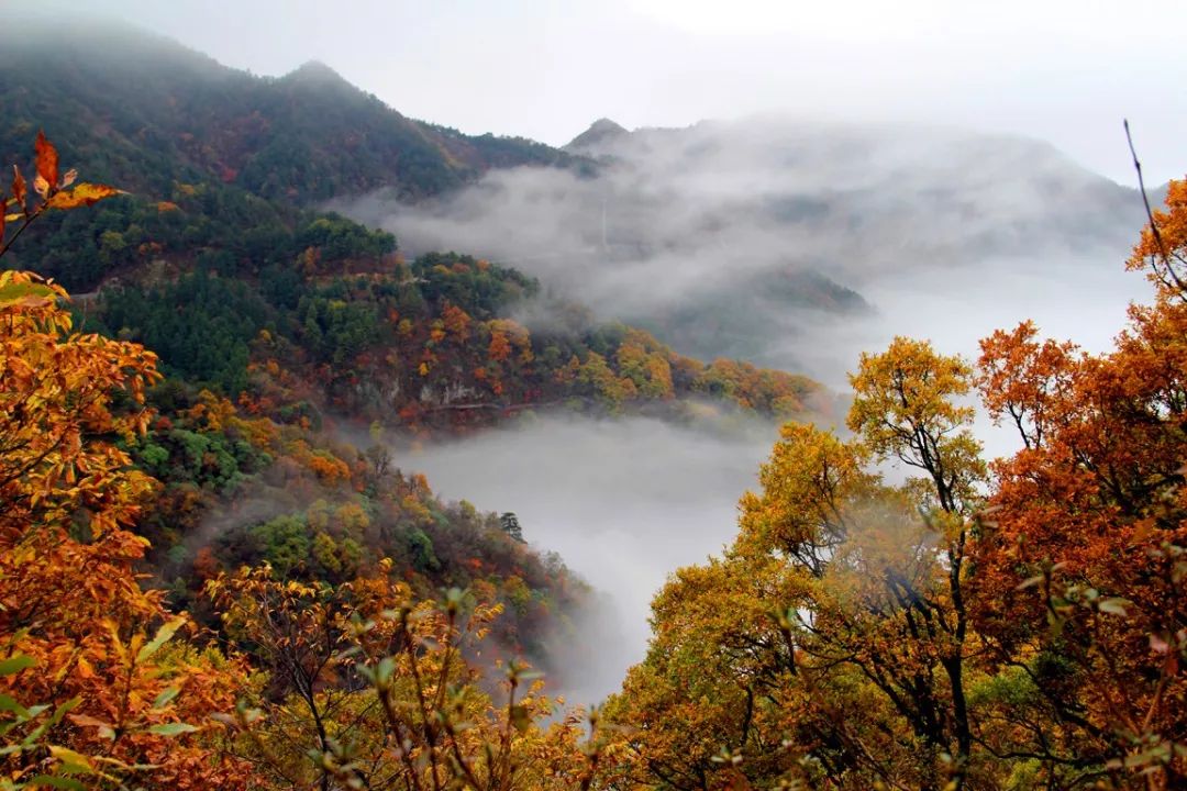 六安天堂寨免门票政策,天堂寨六安户口免费游