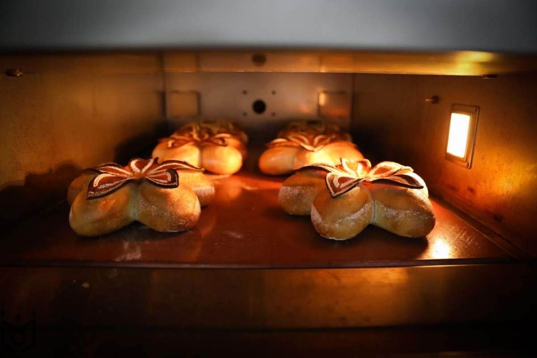 史上最全的六种面包制作方法,介绍面包以及制作方法的书籍