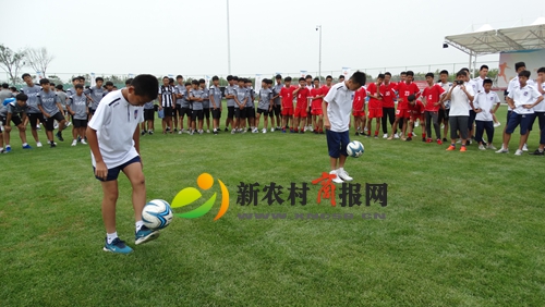 青岛海西杯全国青少年足球邀请赛,青岛市北区2024青少年足球比赛