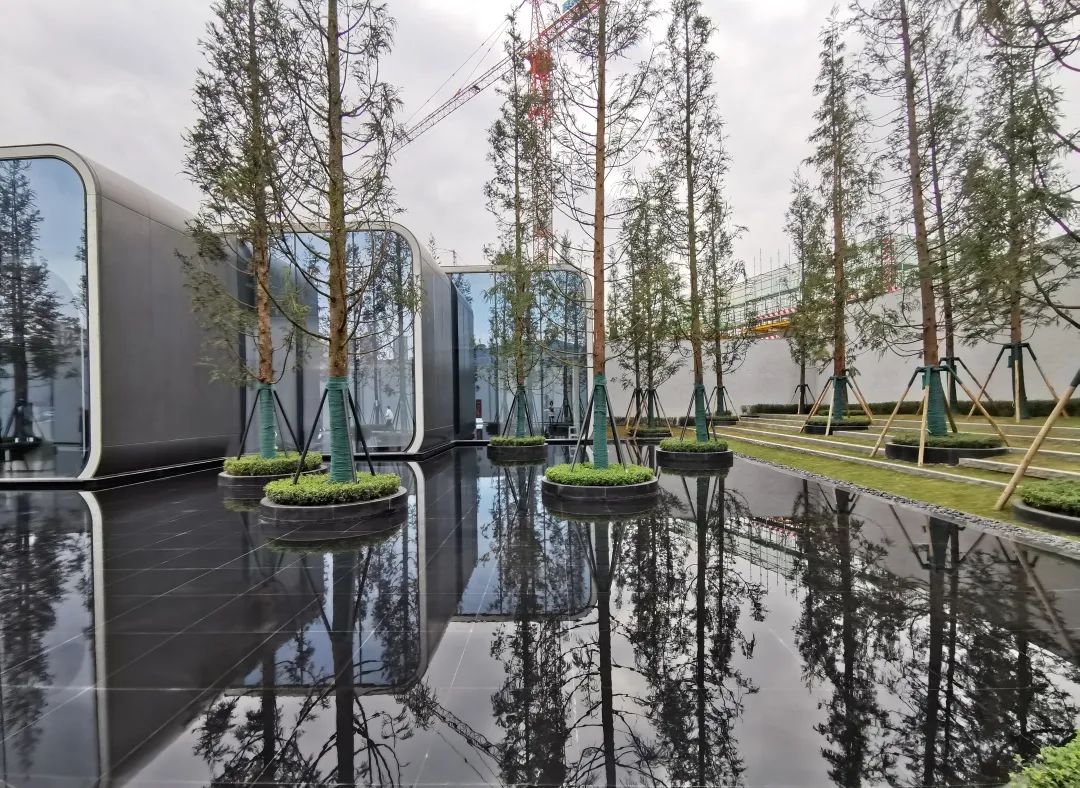 易境研学·重庆站|第二期