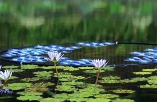 上海地铁沿线景点一日游,上海地铁11号线上海赛车场站