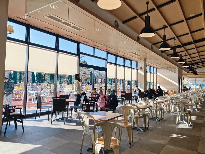 日本小众路线冬,日本冬天观光公路