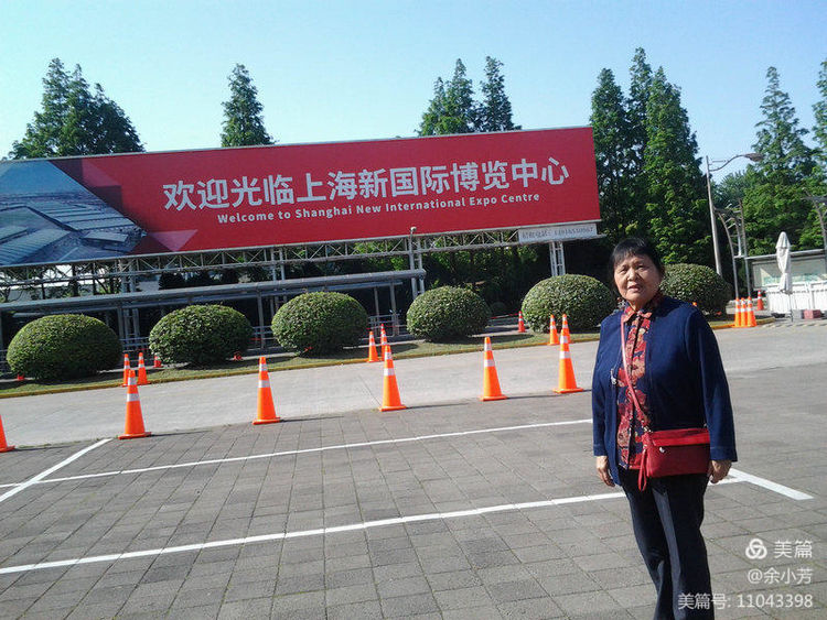 上海新国际博览中心延期,上海新国际博览中心在哪