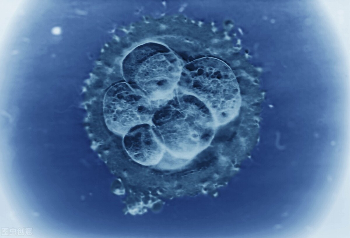 输卵管堵塞怀孕到底有多难,输卵管堵塞自然怀孕的奇迹