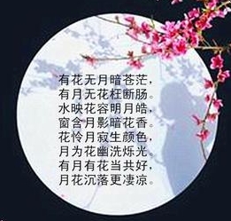 明唐寅咏菊,明唐寅的诗词