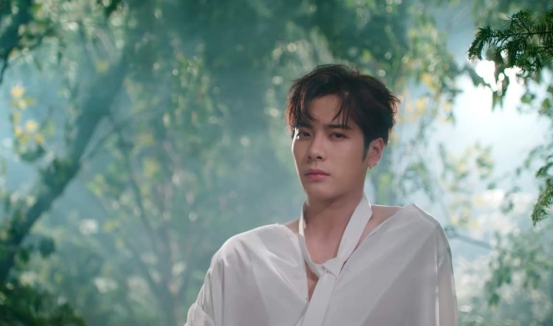 王嘉尔价值,王嘉尔商业价值