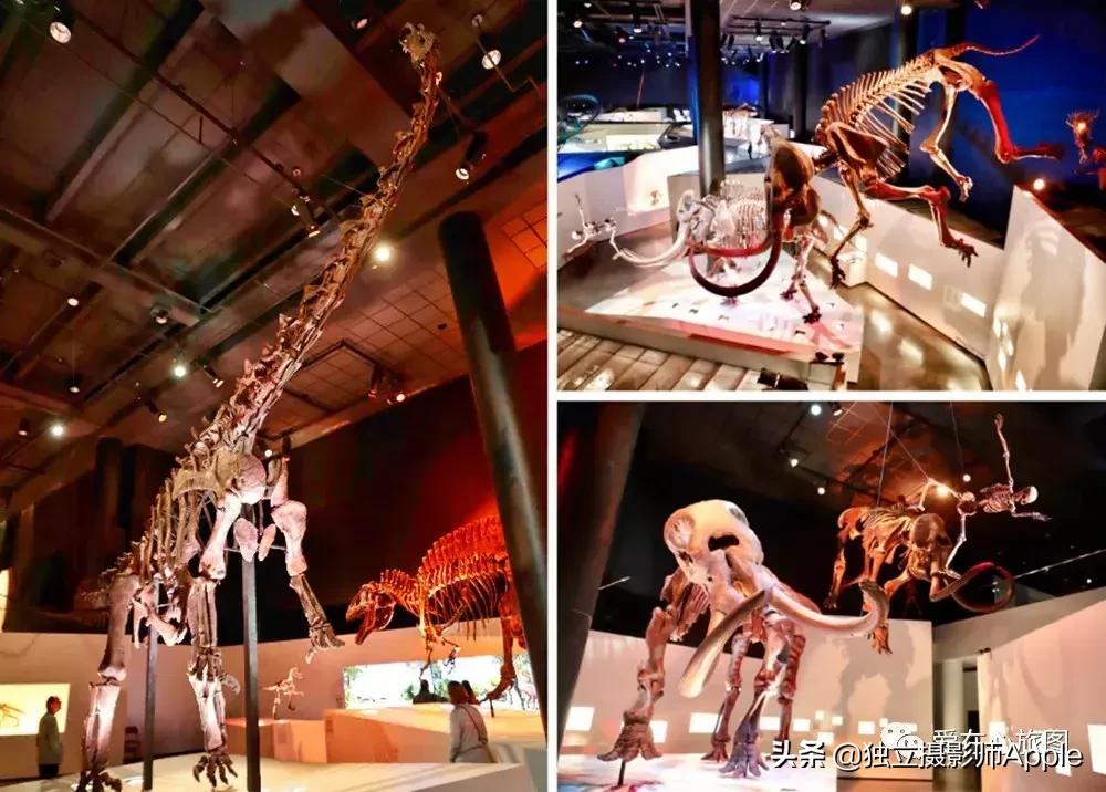 休斯顿酷玩攻略,请收下这份休斯顿酷玩指南