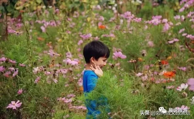 亲子农乐园投资,亲子农乐园经营模式