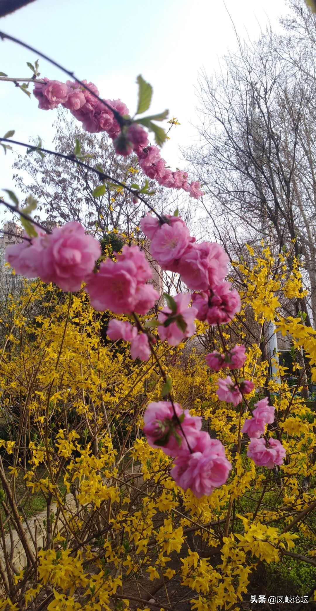 每日一语每天一语,每日一篇每日一言