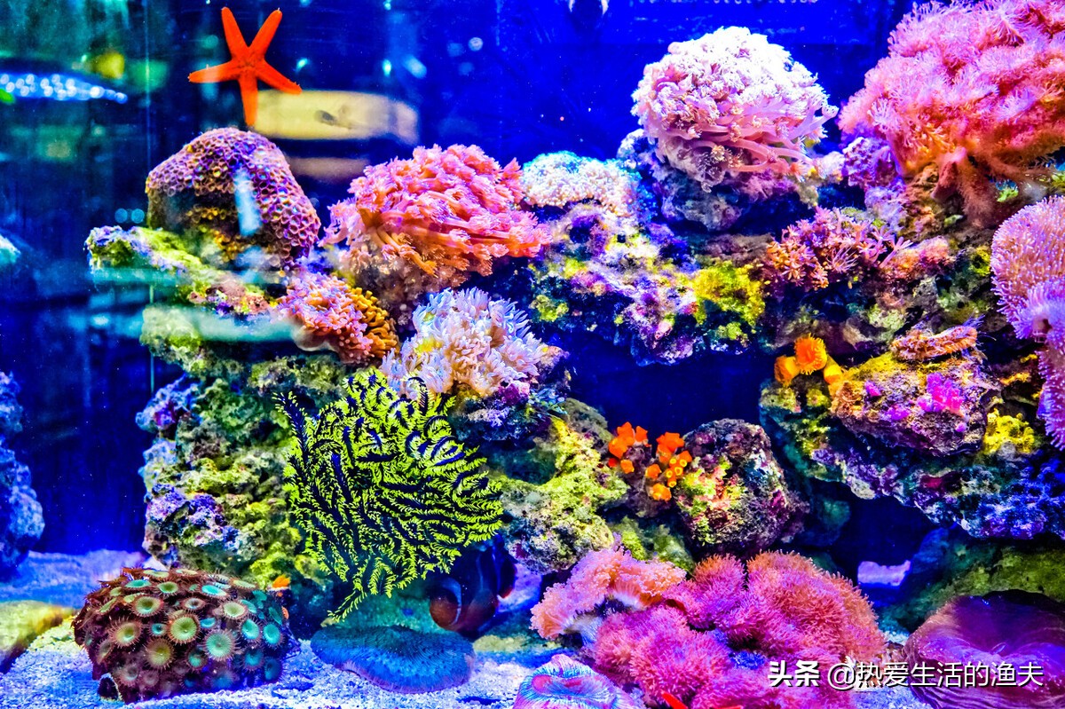 鱼缸上滤滴流盒三层滤材搭配,鱼缸底滤滴流系统图解