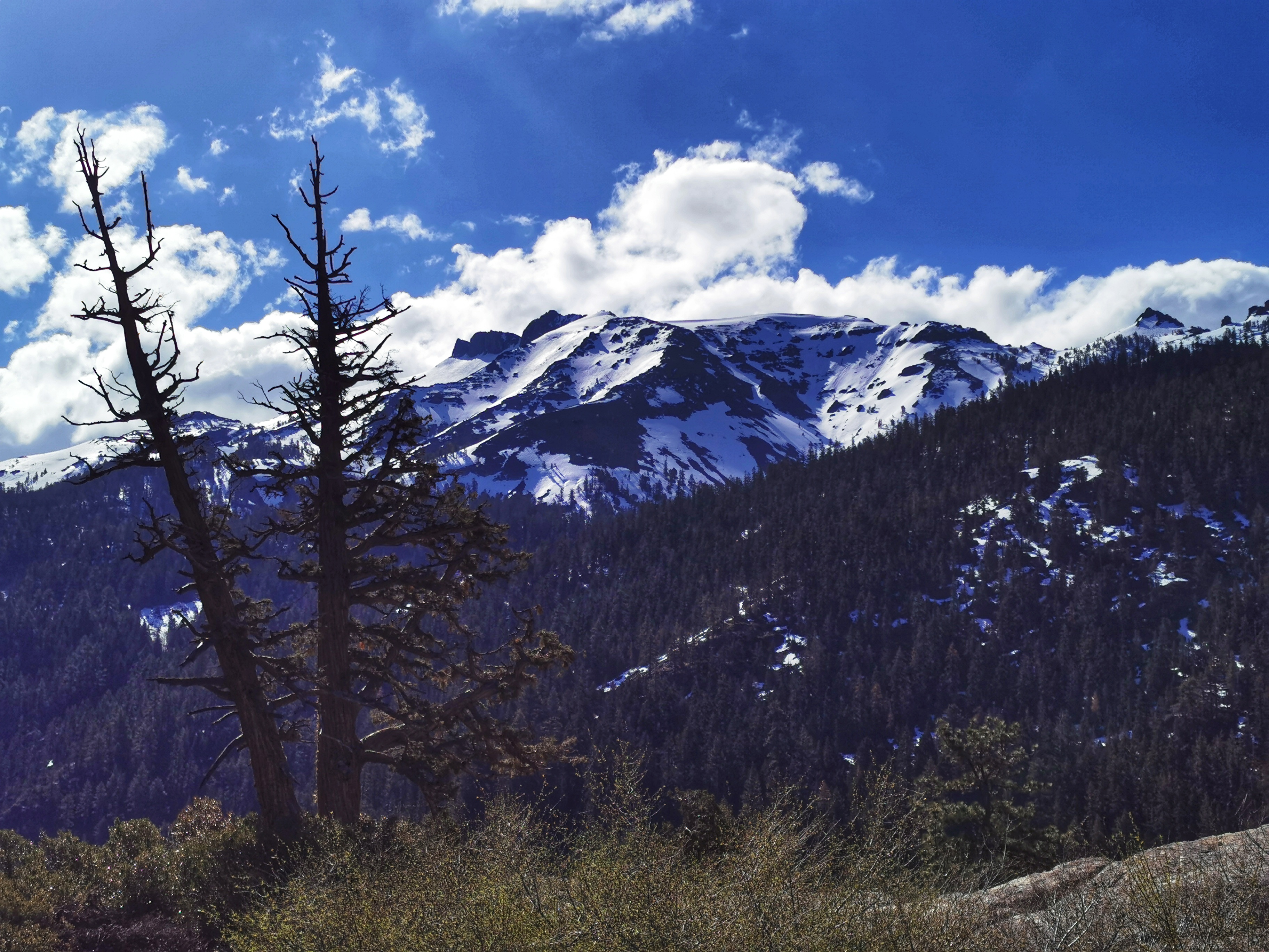 加利福尼亚优胜美地,美国旧金山优胜美地