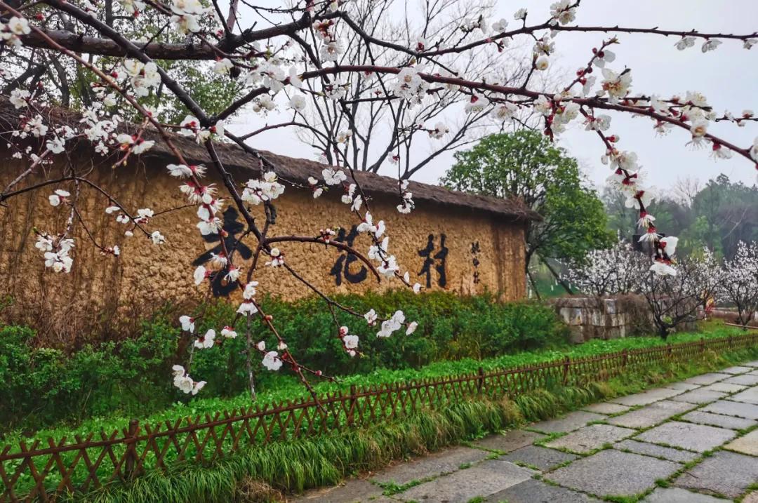 池州市市民卡,池州市民旅游卡