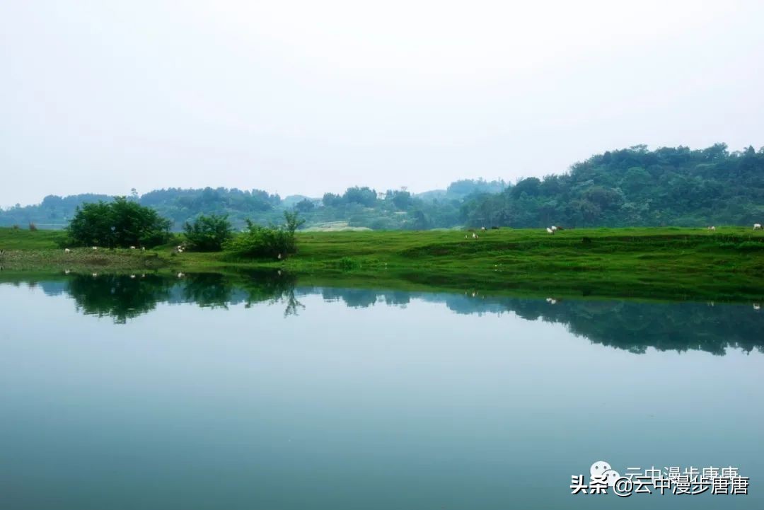 广安岳池坪滩保华村,岳池坪滩风景区