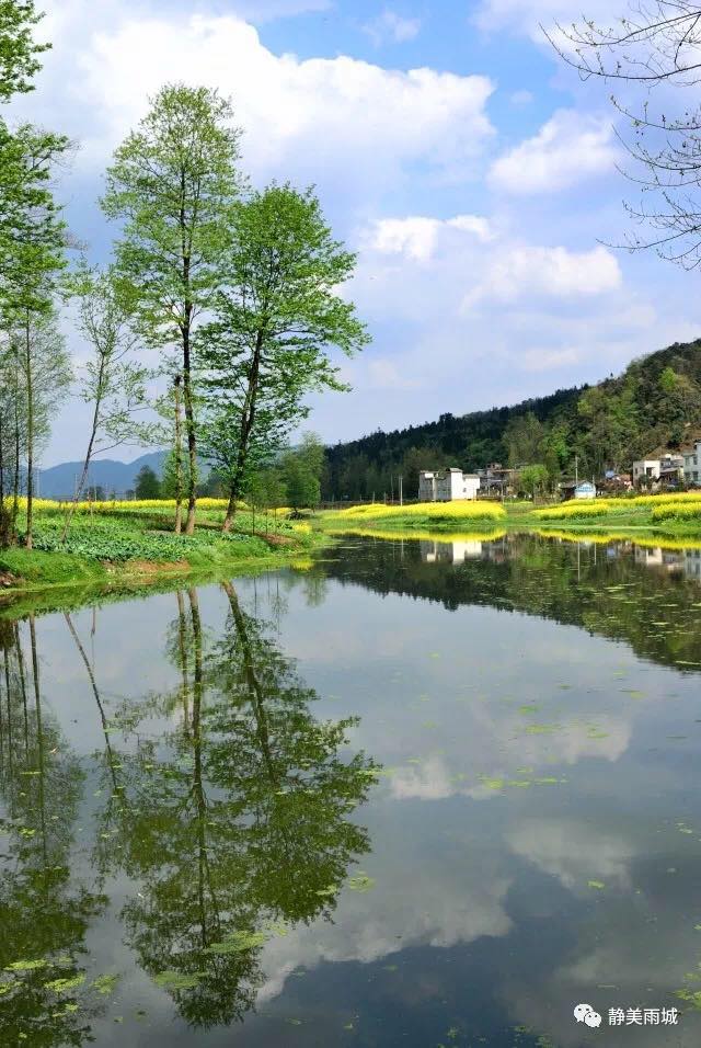 雨城名字由来,雨城区乡镇区划调整方案