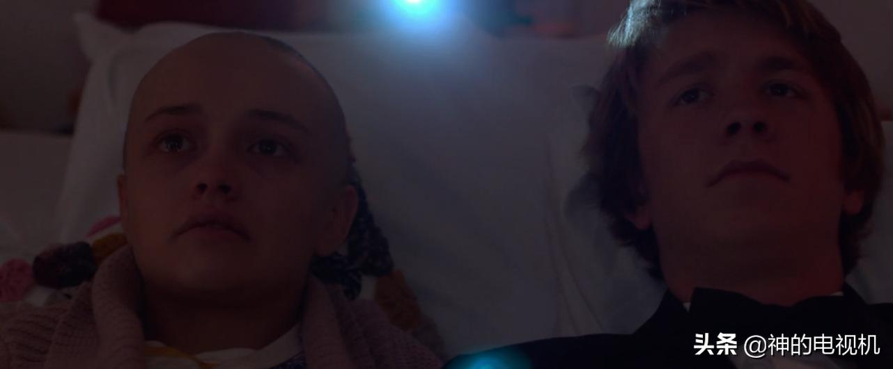 看一部优秀电影并写出观后感,影迷致敬电影