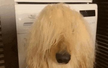 搞笑GIF开心一刻:这才是真正的踢足球,不赢都没道理