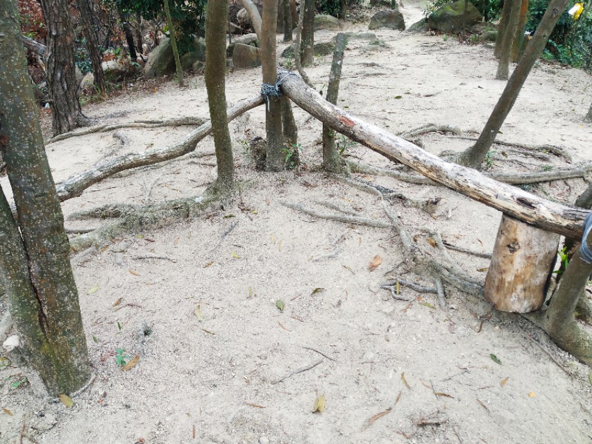 周日跟随珠海户外网板樟山游记