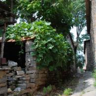 坡子村艺术写生基地,邢台坡子村风景写生