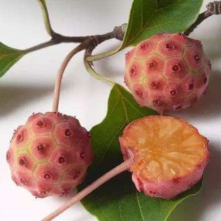 关于荔枝这3个问题你必须知道,10个关于水果的小知识