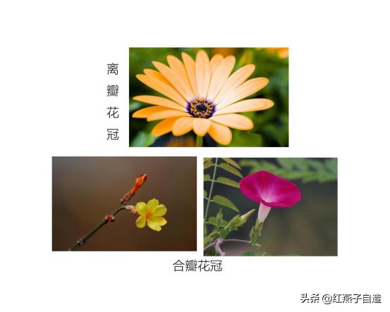 实用手工diy制作钩针花,diy手工花钩织