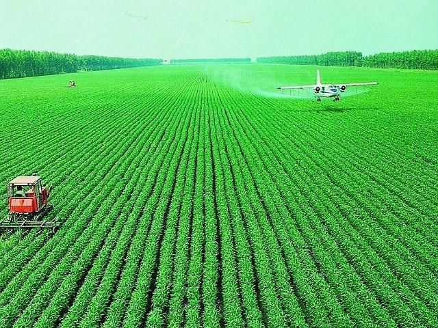 官方发布关于农村补贴的最新政策,农民又有哪5项补贴政策