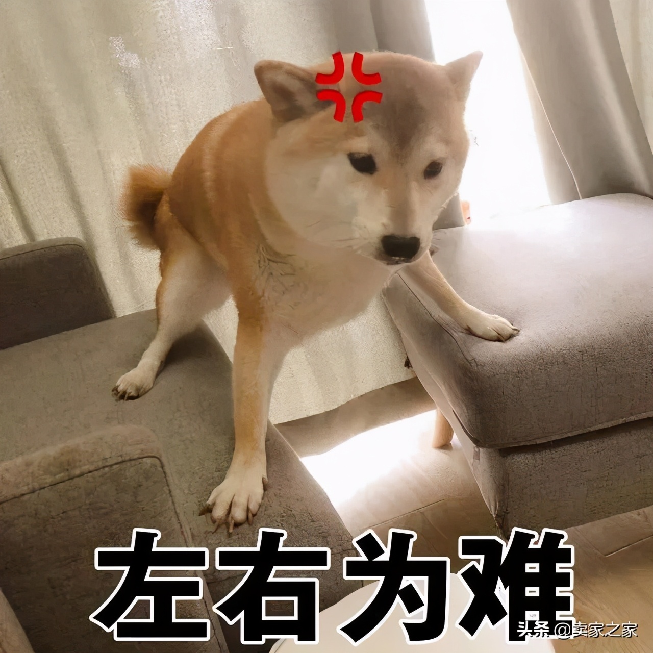 来自亚马逊卖家的灵魂拷问：产品售价低于10美元真的能盈利吗？