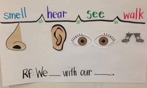 思维导图速记学霸秘籍,各种学霸整理好的思维导图