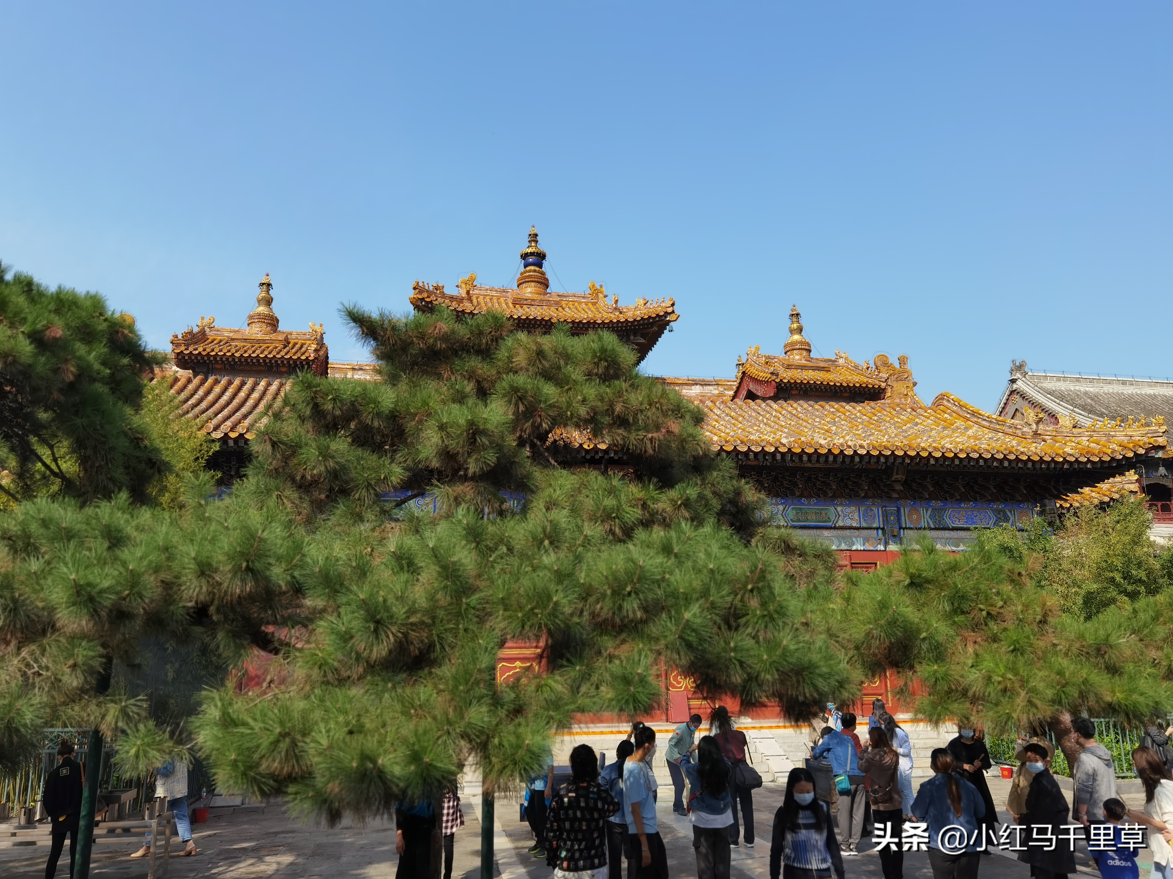 雍和宫游览记,北京行记